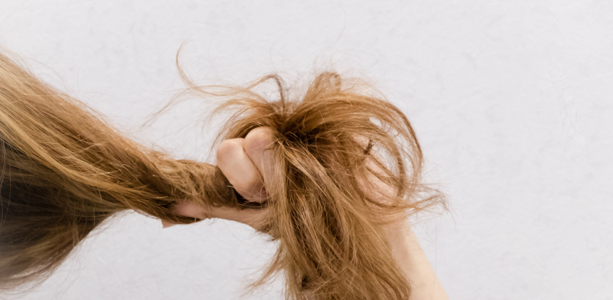 Capelli secchi (e come rianimarli)