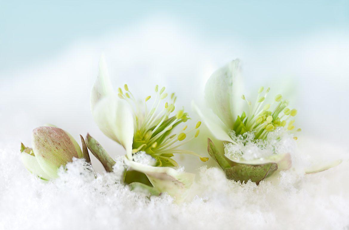 L’INVERNO STA ARRIVANDO: È IL MOMENTO DI CAMBIARE LA NOSTRA ROUTINE DI BELLEZZA