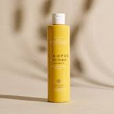 Shampoo Dry Hair with Camomile